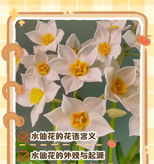 水仙花的花语是什么？它有何寓意？