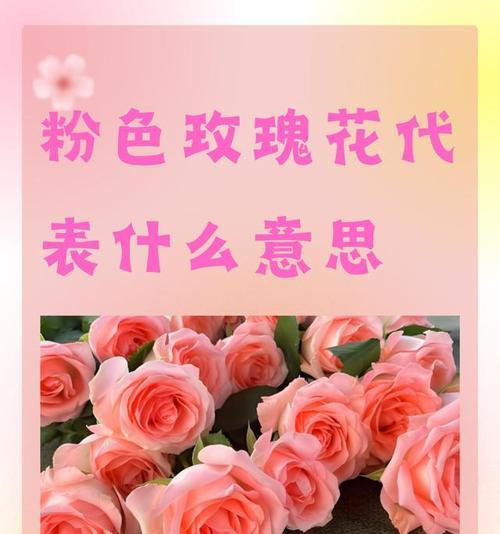 玛格丽特花语含义及其代表意义是什么？