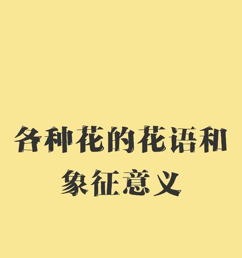 充满象征意义的花朵有哪些？它们的花语是什么？
