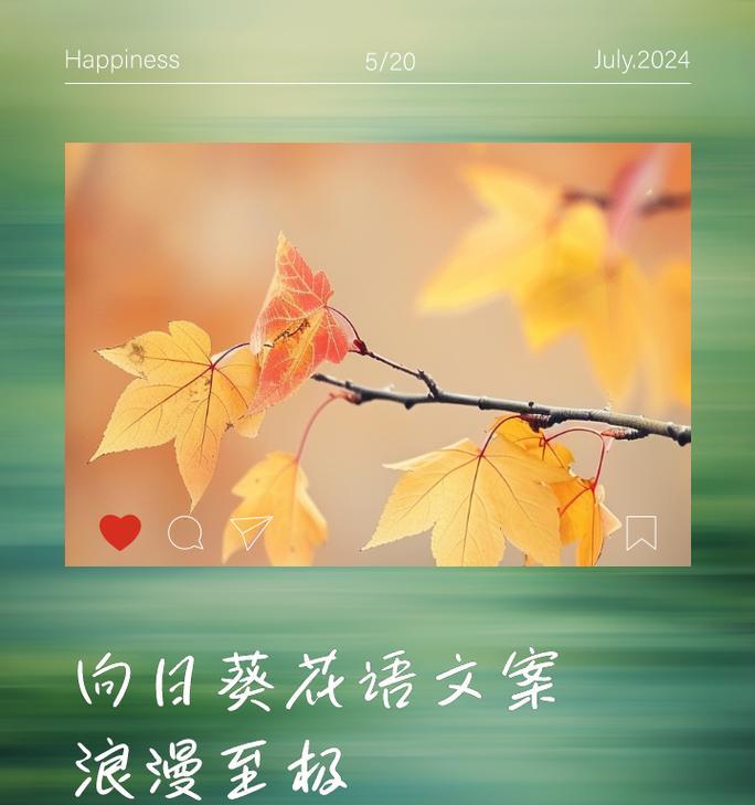 六朵向日葵代表什么？它的花语是什么？