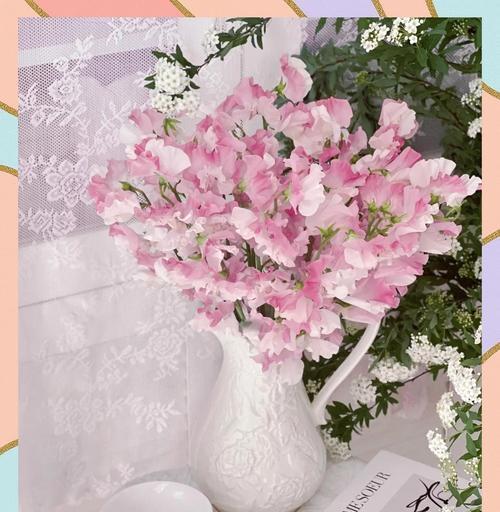 和平的花语：哪些蝴蝶花象征和平及其含义？