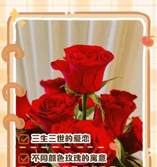 13朵玫瑰的含义是什么？玫瑰数量与意义的关系？