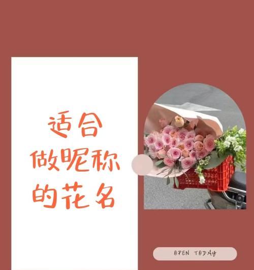 昵称用花代表什么？花名昵称的含义是什么？