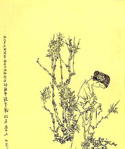 黛玉宝钗象征的花有哪些？《红楼梦》中花卉与人物象征关系是什么？