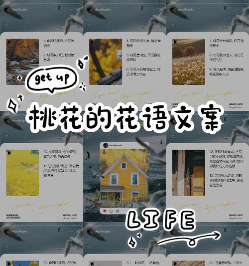 桃花的花语及其象征意义是什么？