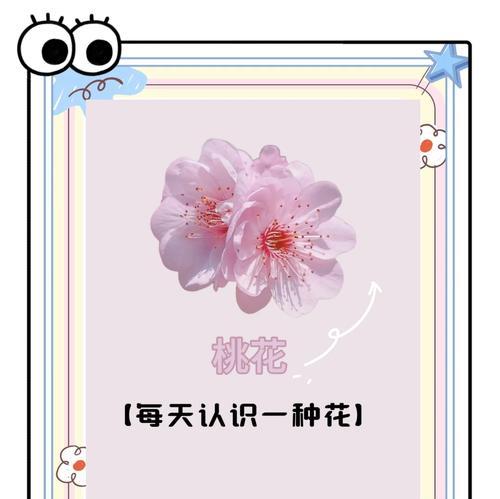 桃花的花语及其象征意义是什么？