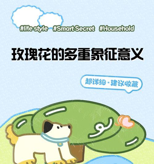 玫瑰花开代表什么？深层含义是什么？