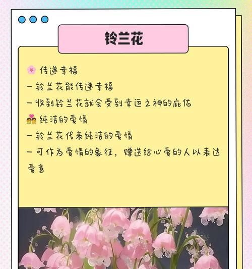 哪些花卉寓意爱情甜蜜？选择这些花卉有何意义？