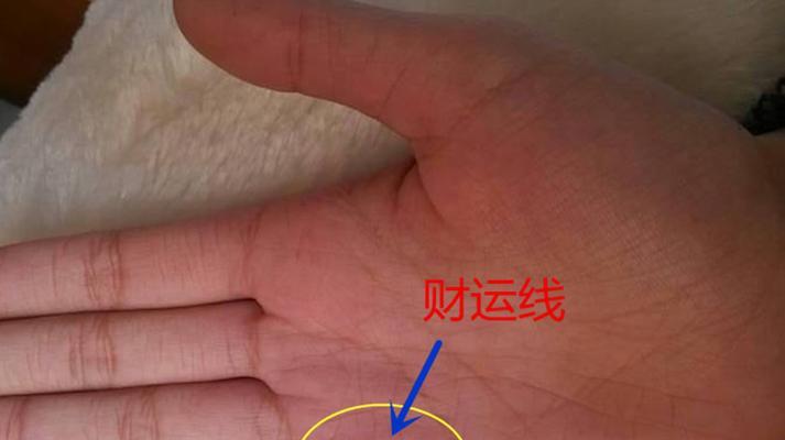 手相中四朵花象征什么？花的寓意全知道！