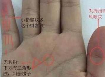 手相中四朵花象征什么？花的寓意全知道！