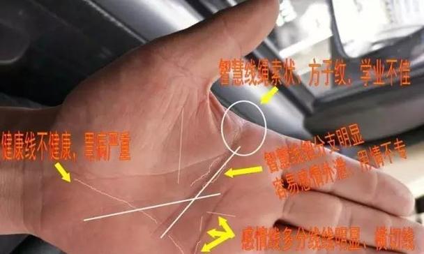 手相中四朵花象征什么？花的寓意全知道！