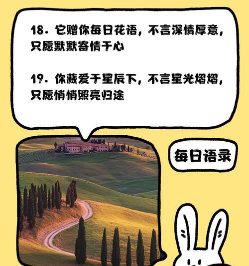 每日花语对心情的影响是什么？花语如何影响我们的情绪？