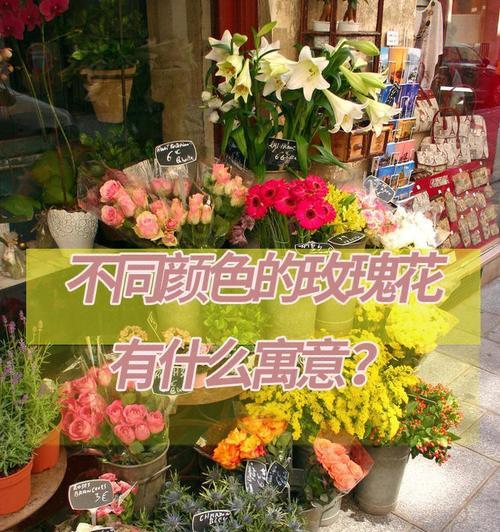 花语嫣的含义是什么？它代表了什么？