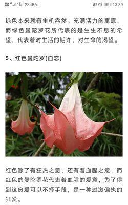 不同颜色的花有何含义？颜色不同的花各自代表什么？