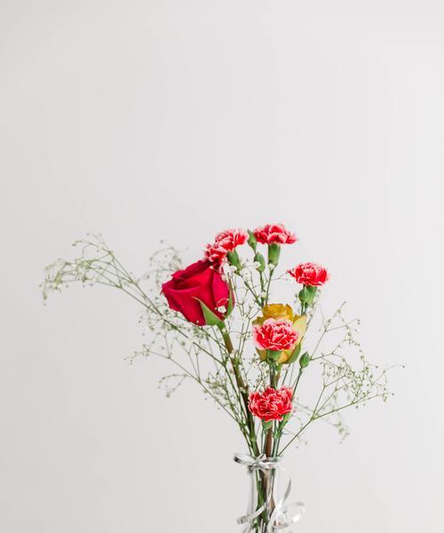 分手后送什么花好？这些花的寓意是什么？