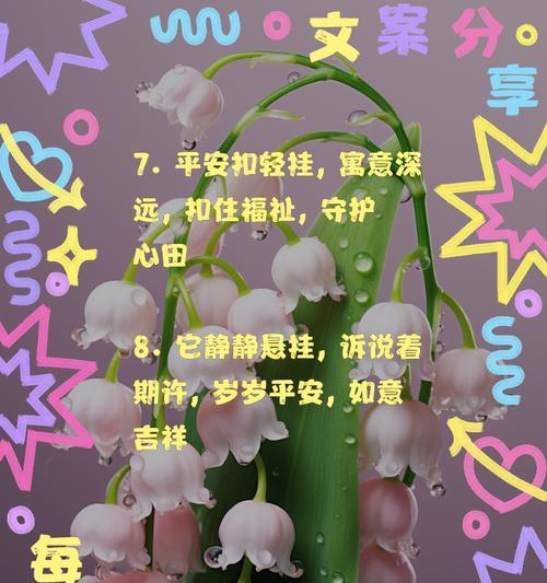 朋友平安的花及其寓意是什么？