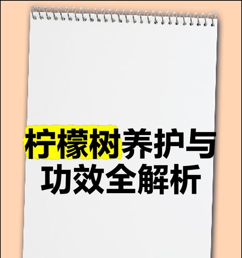 柠檬花语寓意与种植养护技巧全解析