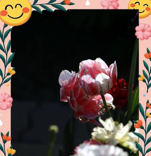 哪些花的花语是“我爱你”？它们各自代表什么？