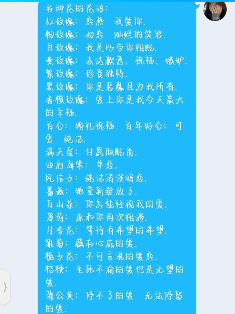 哪些花的花语是“我爱你”？它们各自代表什么？