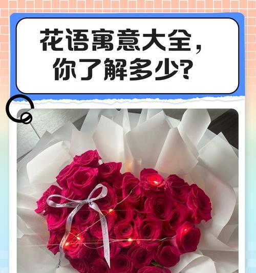 哪些花的花语是“我爱你”？它们各自代表什么？