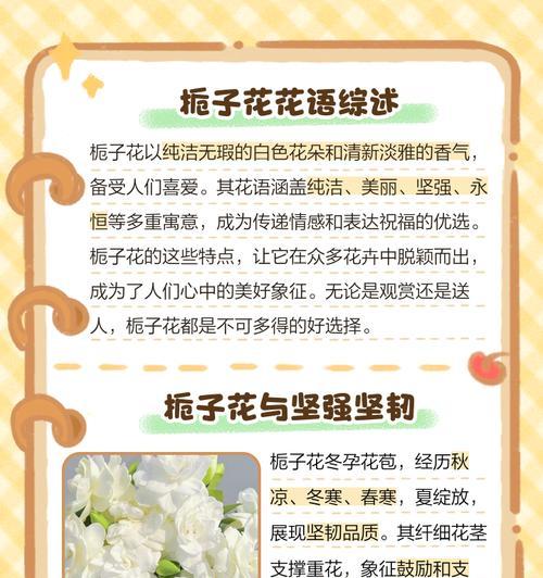 花语背后隐藏的情感是什么？如何通过花语表达深层情感？