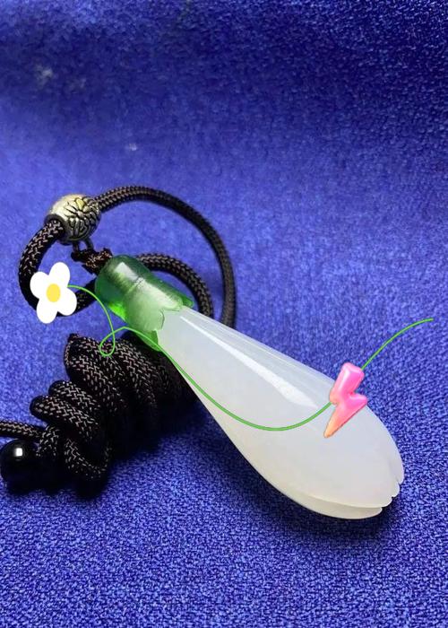 金叶玉蝉花象征什么？如何用它表达情感？