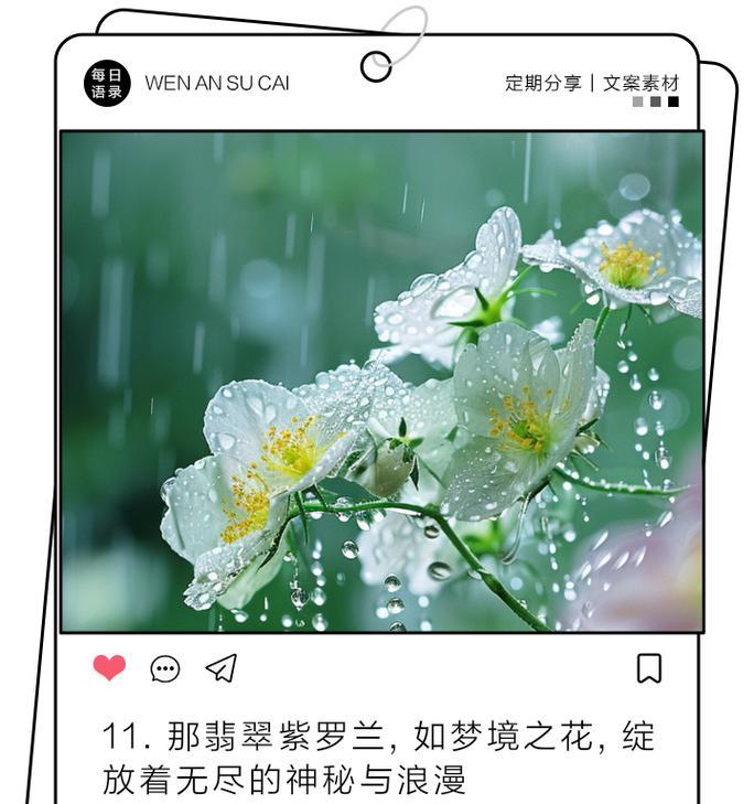 花的美好象征：哪些句子代表花的美及其寓意？