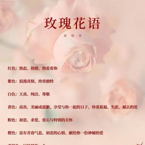 鲜花花语大全：每种花的含义是什么？