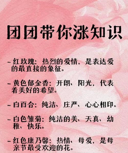鲜花花语大全：每种花的含义是什么？