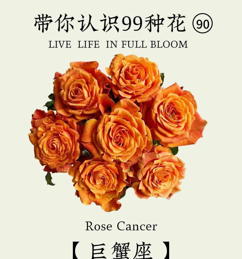 浓烈感情的花有哪些？用花表达浓烈感情的技巧是什么？