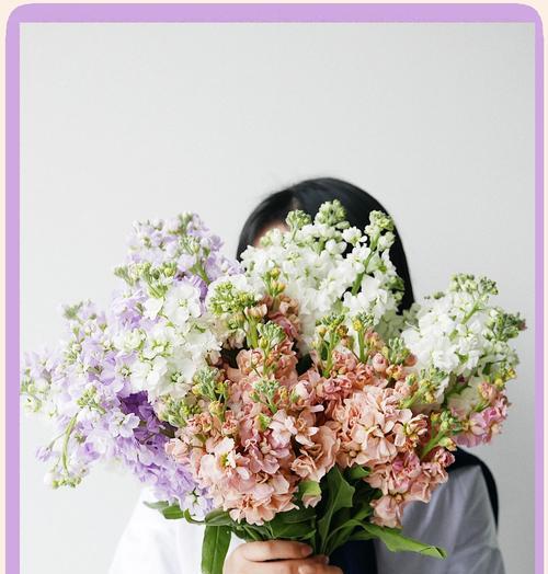 紫罗兰花的花语及其适合的情感表达是什么？