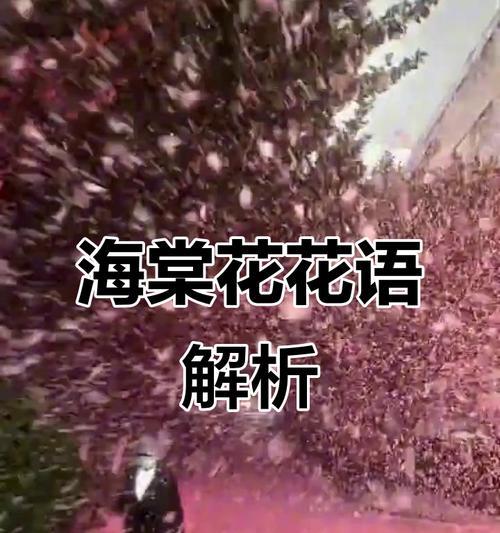 哪种花象征思念？想你了的花语是什么？