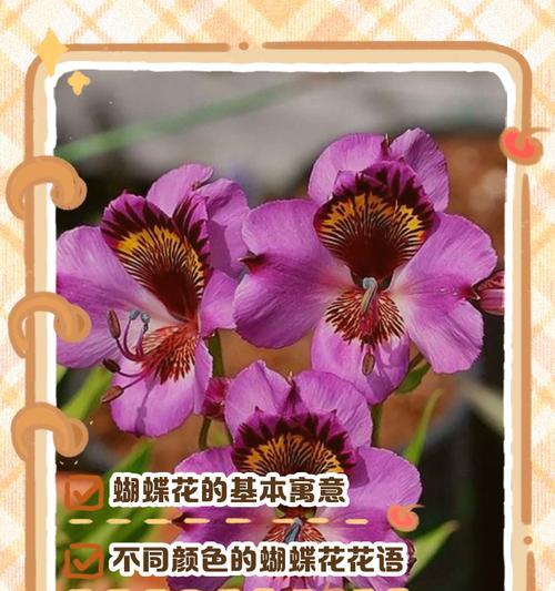 哪些花寓意好？两种寓意好的花是什么？
