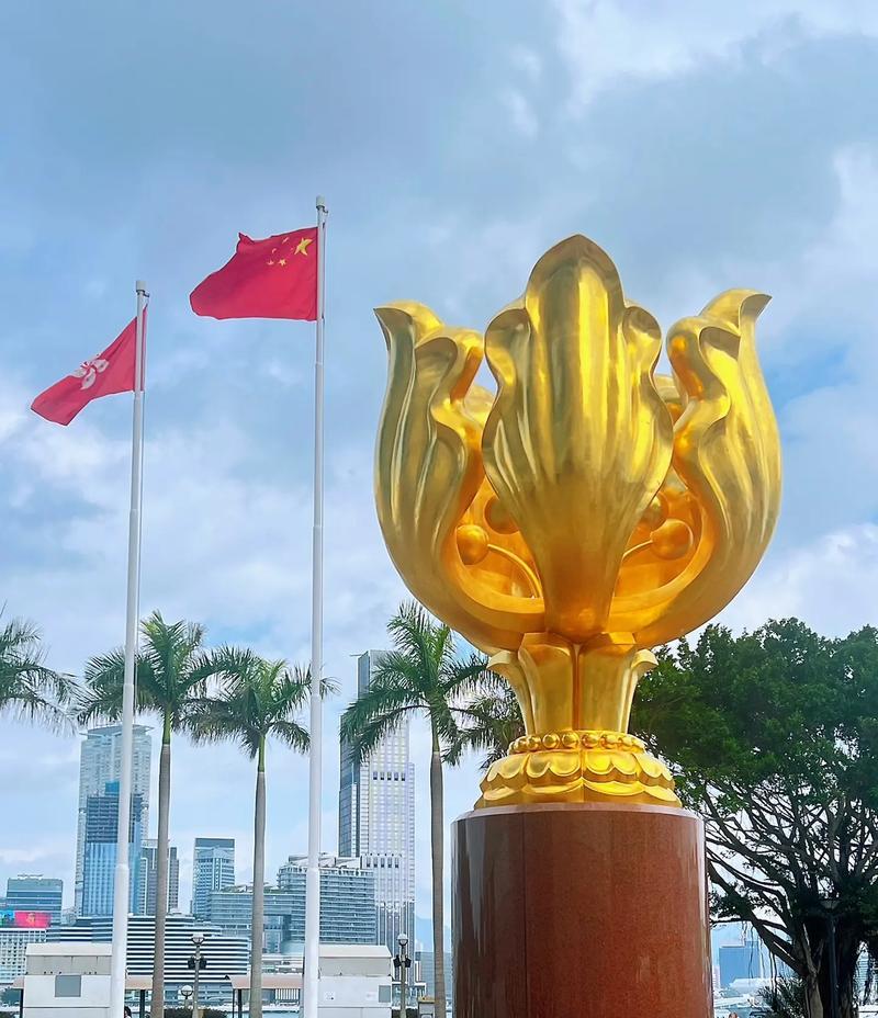 和平象征的紫荆花有哪些？它们各自代表什么意义？