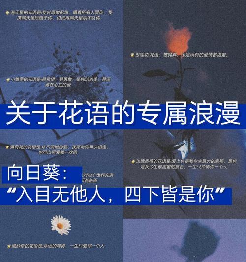 蓝色满天星的信息传递是什么？它的花语含义有哪些？