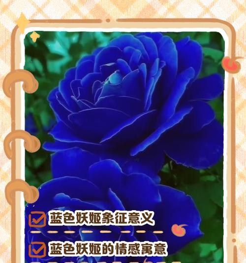 蓝色满天星的信息传递是什么？它的花语含义有哪些？
