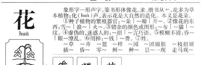 哪些花的含义不太好？它们代表了什么？
