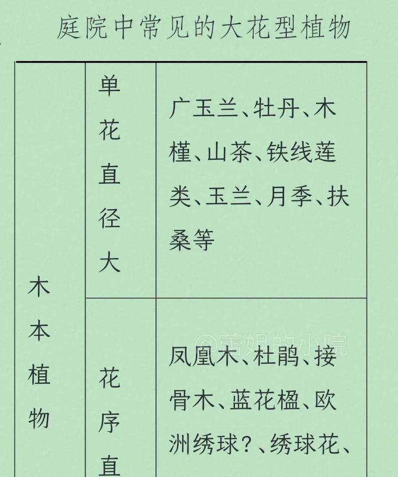 哪些花的含义不太好？它们代表了什么？