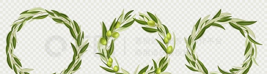 橄榄枝花环代表什么？橄榄枝花环的寓意是什么？