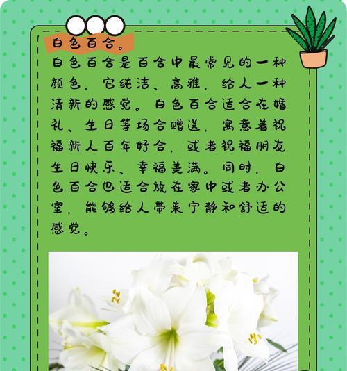 黄白色百合花的含义是什么？象征意义有哪些？