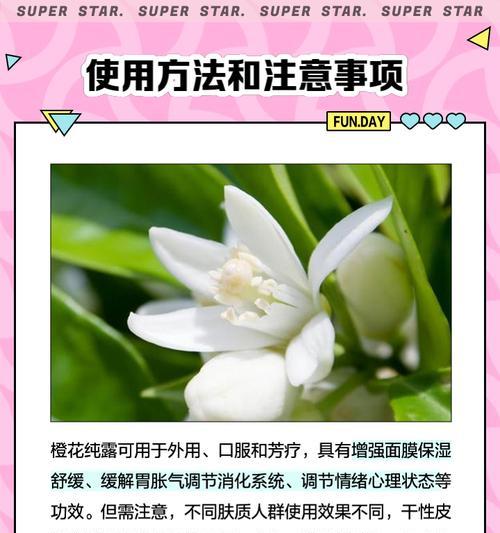 露水清花的象征意义是什么？