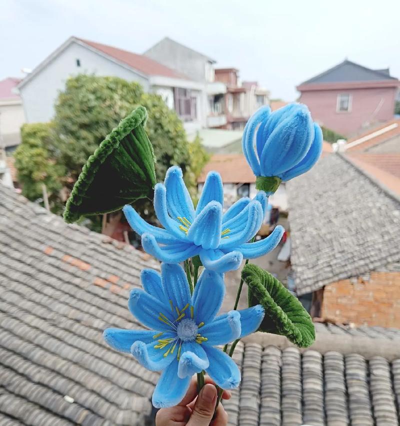 蓝莲花花语有何深意？蓝莲花的养殖方法是什么？