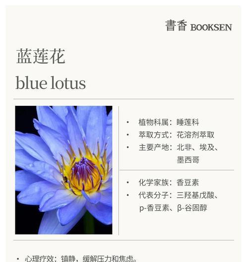 蓝莲花花语有何深意？蓝莲花的养殖方法是什么？