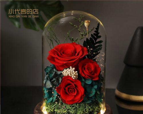 孔雀永生花代表什么含义？孔雀永生花的寓意是什么？