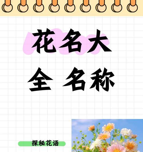 高冷花卉的花名有哪些？它们各自代表什么？