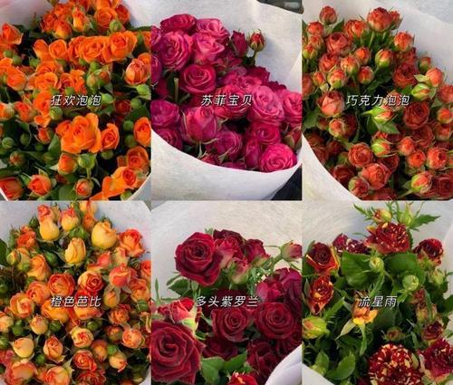 如何快速查找1000种英文花名及花语大全？