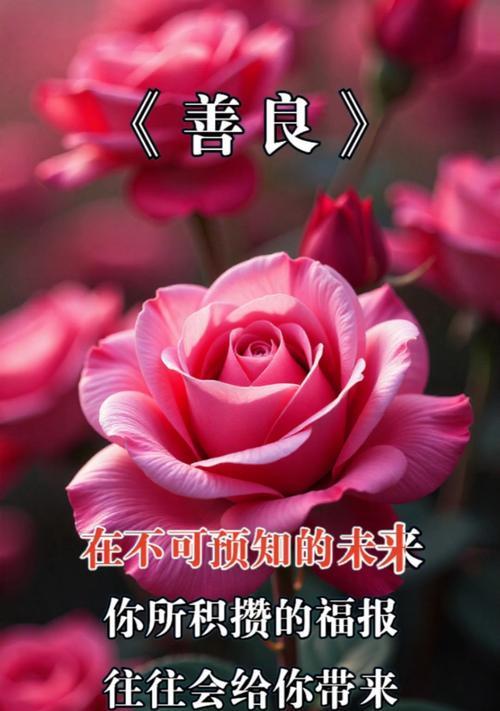 什么花代表善良？花语中善良的花有哪些？