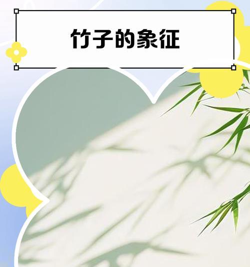 竹子的象征意义与价值（竹子—中国文化中的永恒符号）
