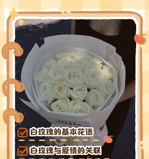 白玫瑰送什么人？（以白玫瑰花语为主题的送花建议）