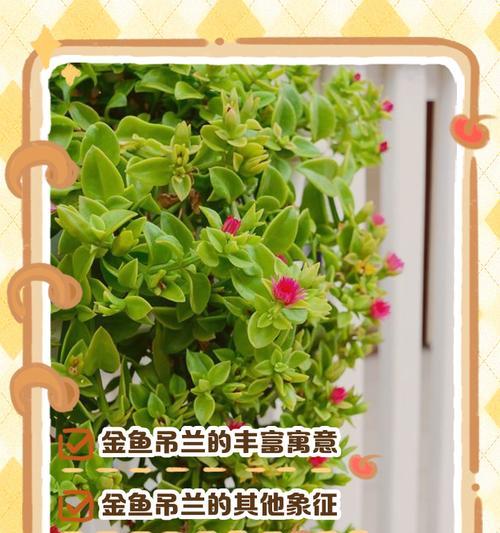 吊兰花语（探究吊兰花的花语和象征意义）